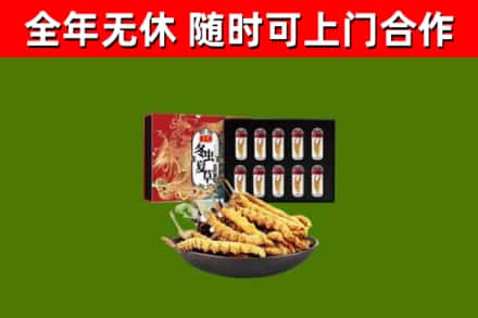 鱼台回收冬虫夏草价格