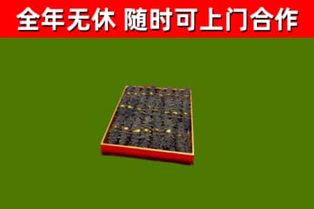鱼台回收海参
